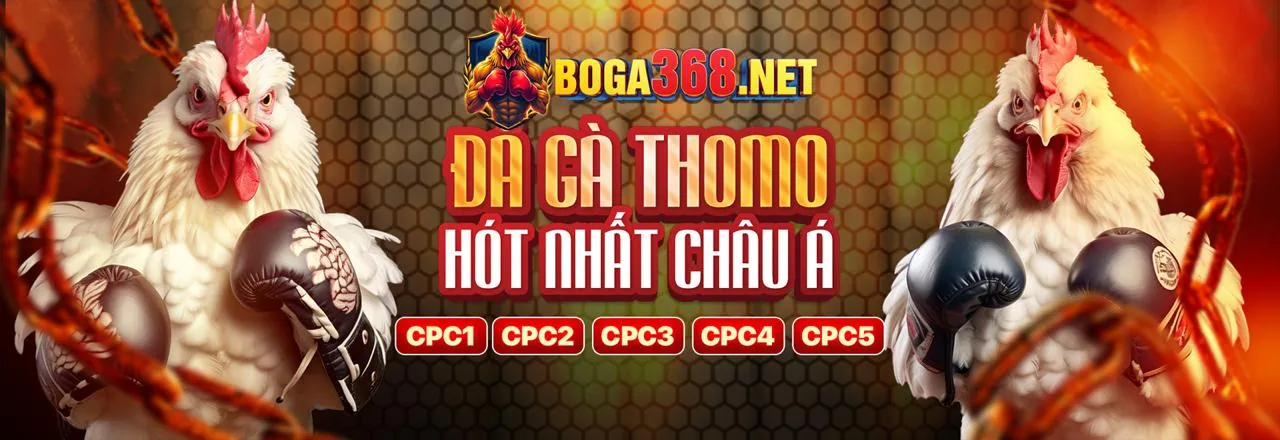 Chương trình VIP độc quyền nn888 app